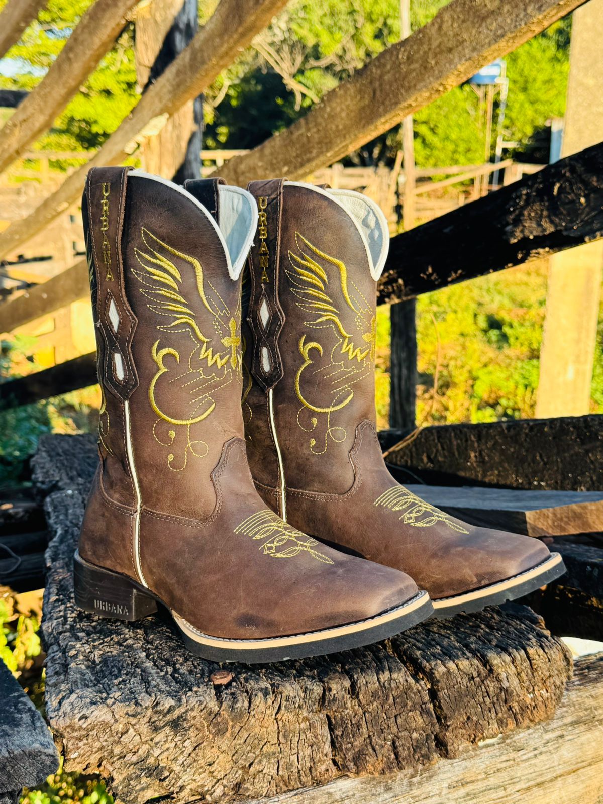 Bota Texana Urbana Masculina